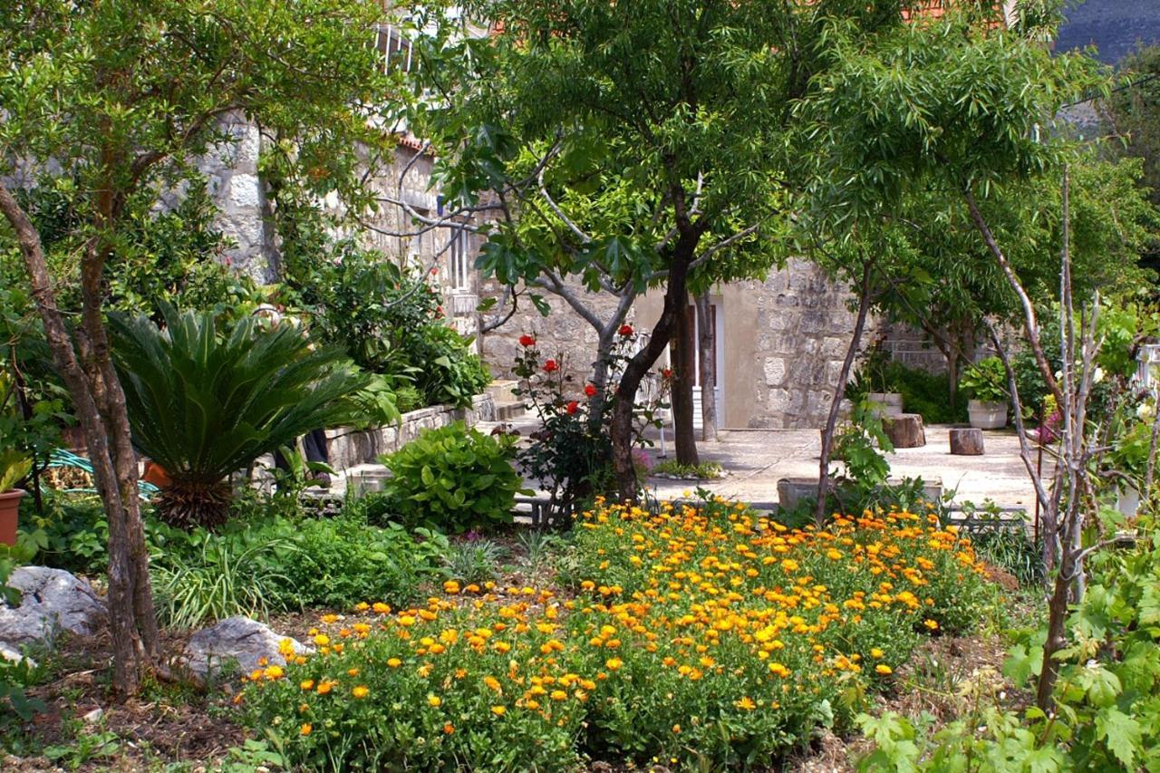 Apartments And Rooms By The Sea Slano, Dubrovnik - 2682 Dış mekan fotoğraf